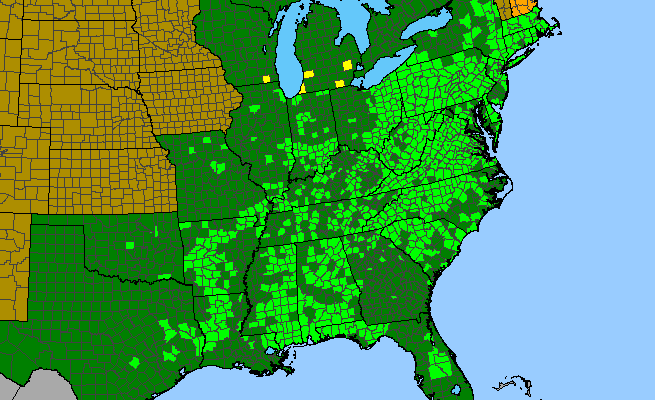 The range of Eutrochium fistulosum